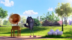 خرگوش های درخشان (خرگوش های چیکا)